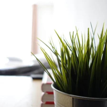 Fabryka * Σόποτ