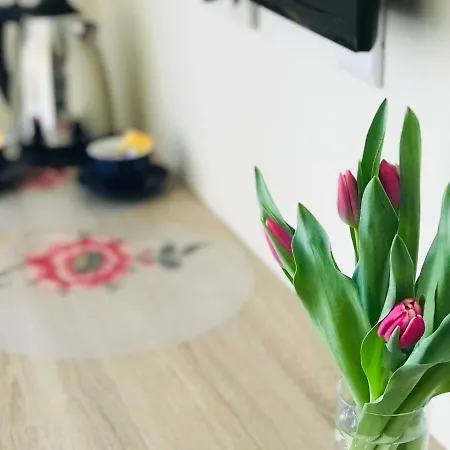 Fabryka アパート